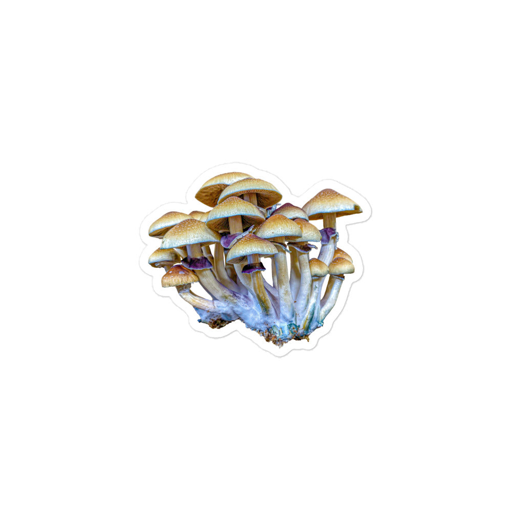_Portrait of a Mushroom #2 - Sticker