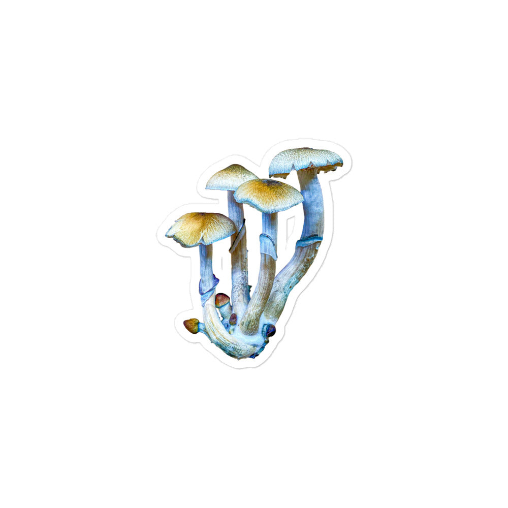 _Portrait of a Mushroom #4 - Sticker