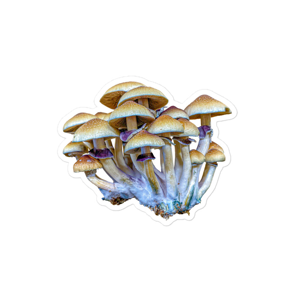 _Portrait of a Mushroom #2 - Sticker