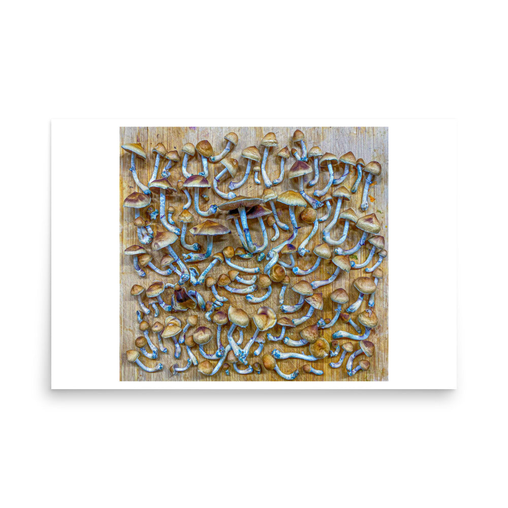_Portrait of a Mushroom #9 - Art Print