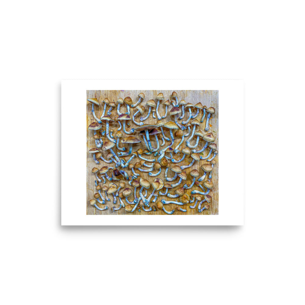 _Portrait of a Mushroom #9 - Art Print