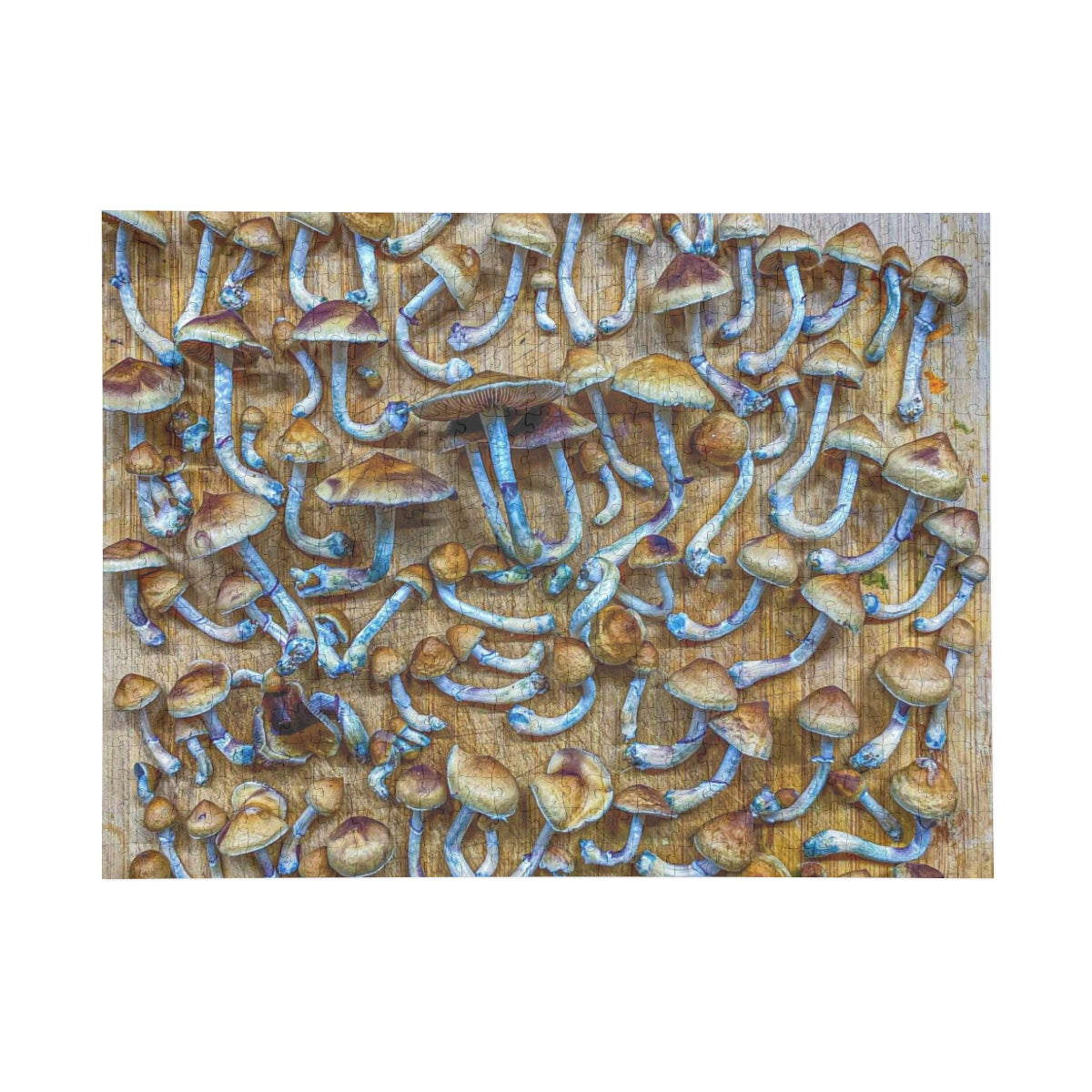 _ Freshly Harvested Mushrooms - Premium Quality Puzzle (96, 252, 500, 1000-Piece)