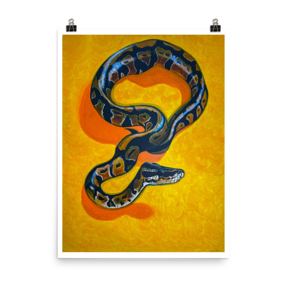 (1) The Golden Teacher - Art Print