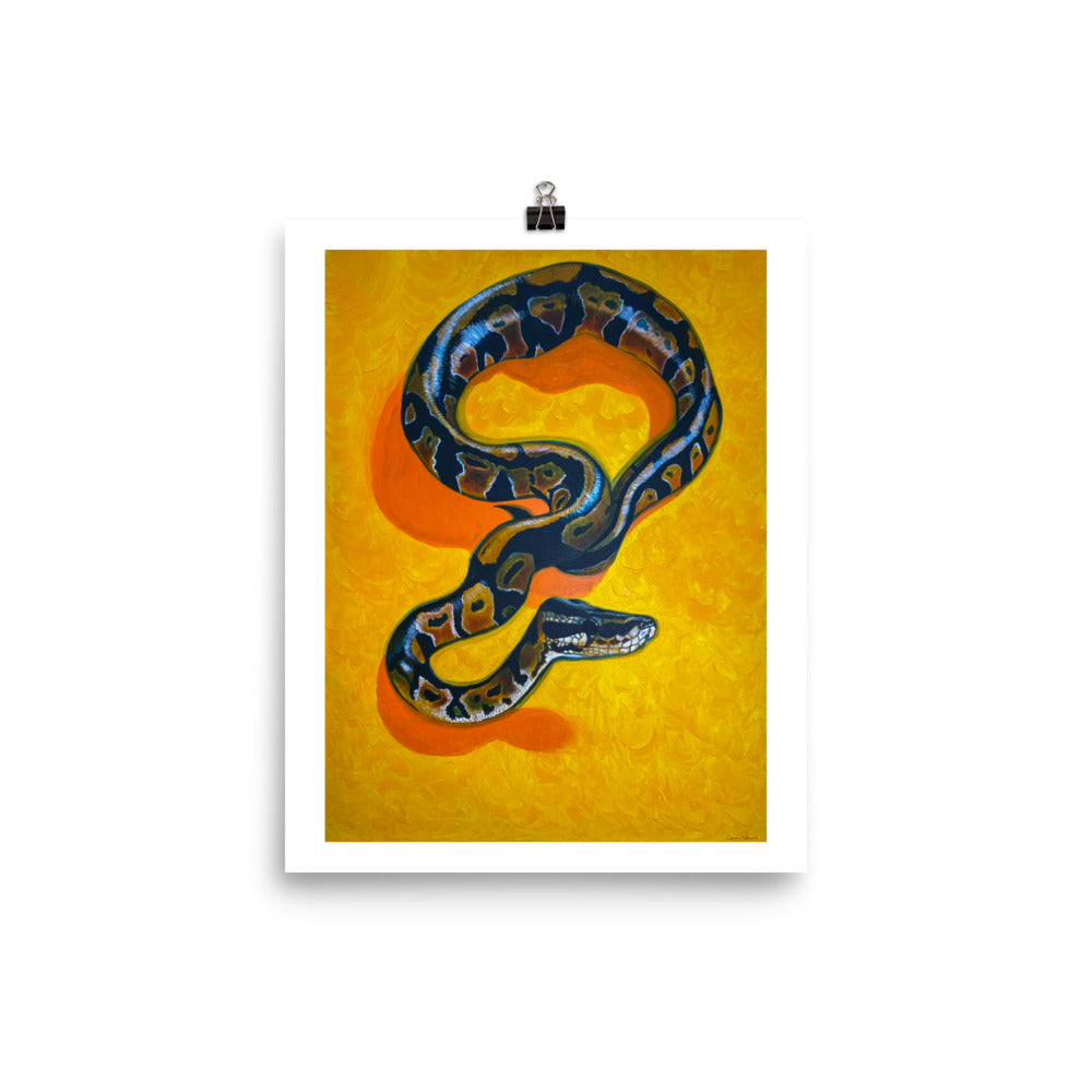 (1) The Golden Teacher - Art Print