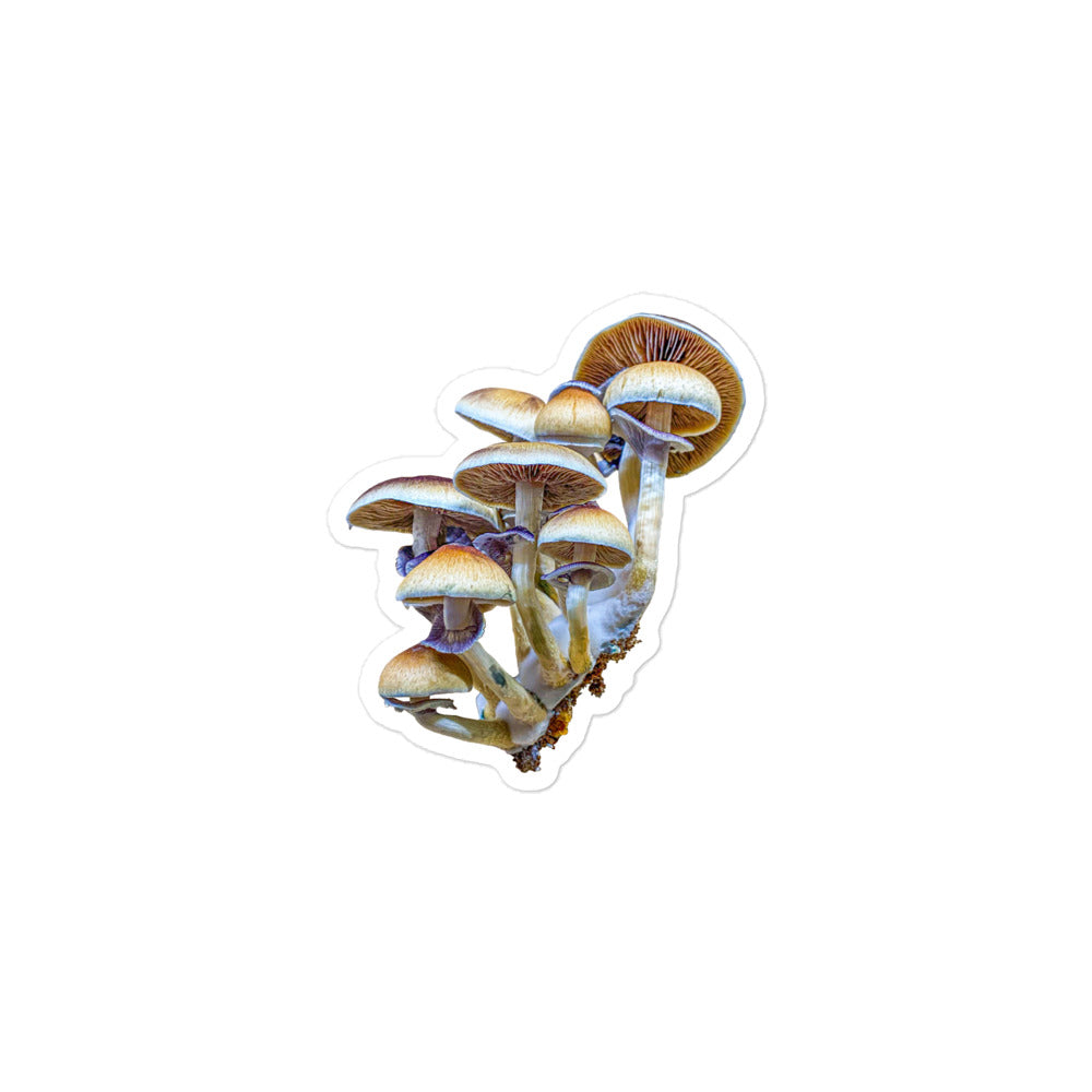 _Portrait of a Mushroom #3 - Sticker