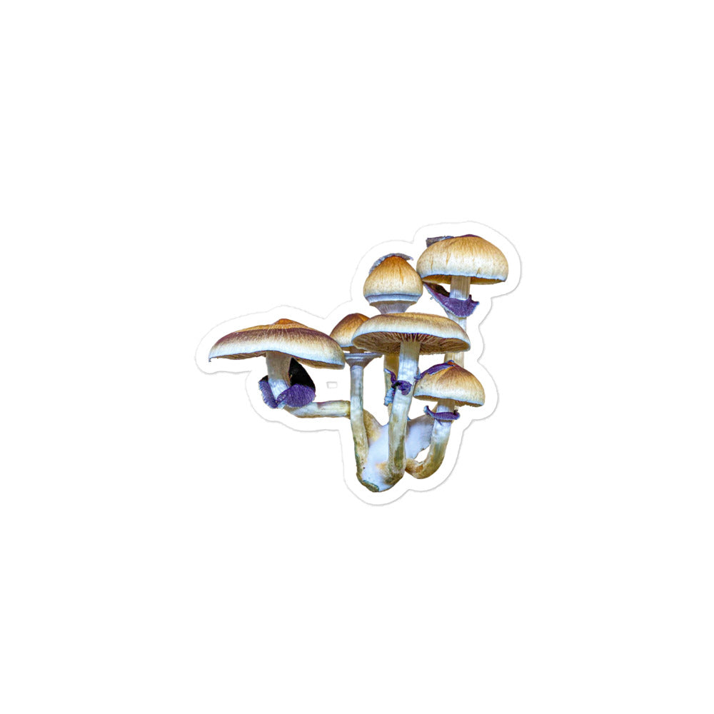 _Portrait of a Mushroom #5 - Sticker