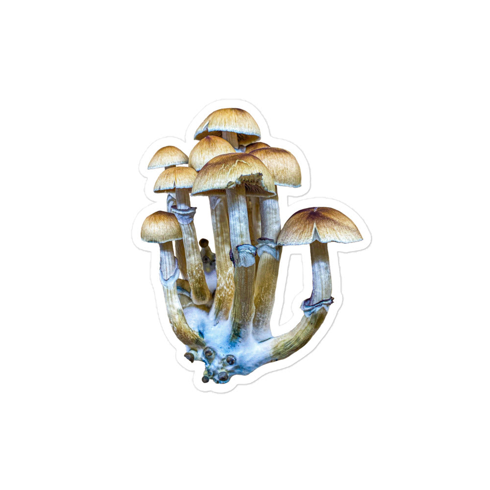 _Portrait of a Mushroom #8 - Sticker