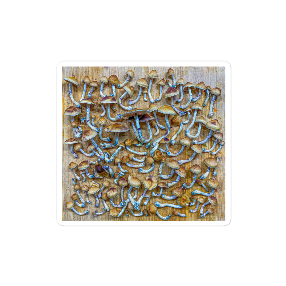_Portrait of a Mushroom #9 - Sticker