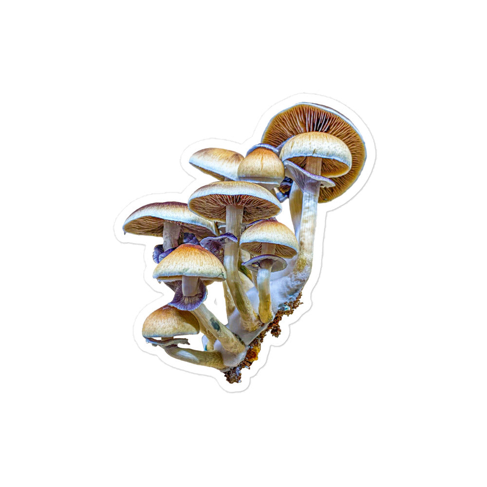 _Portrait of a Mushroom #3 - Sticker