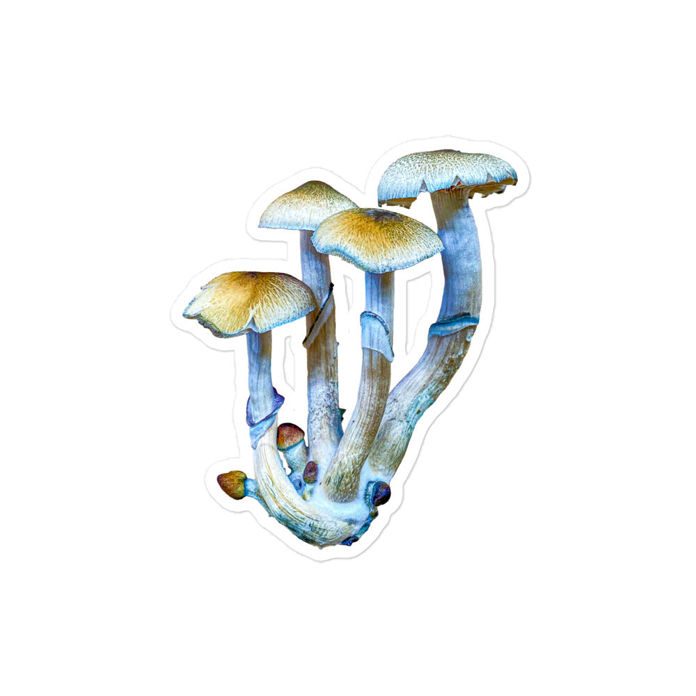 _Portrait of a Mushroom #4 - Sticker