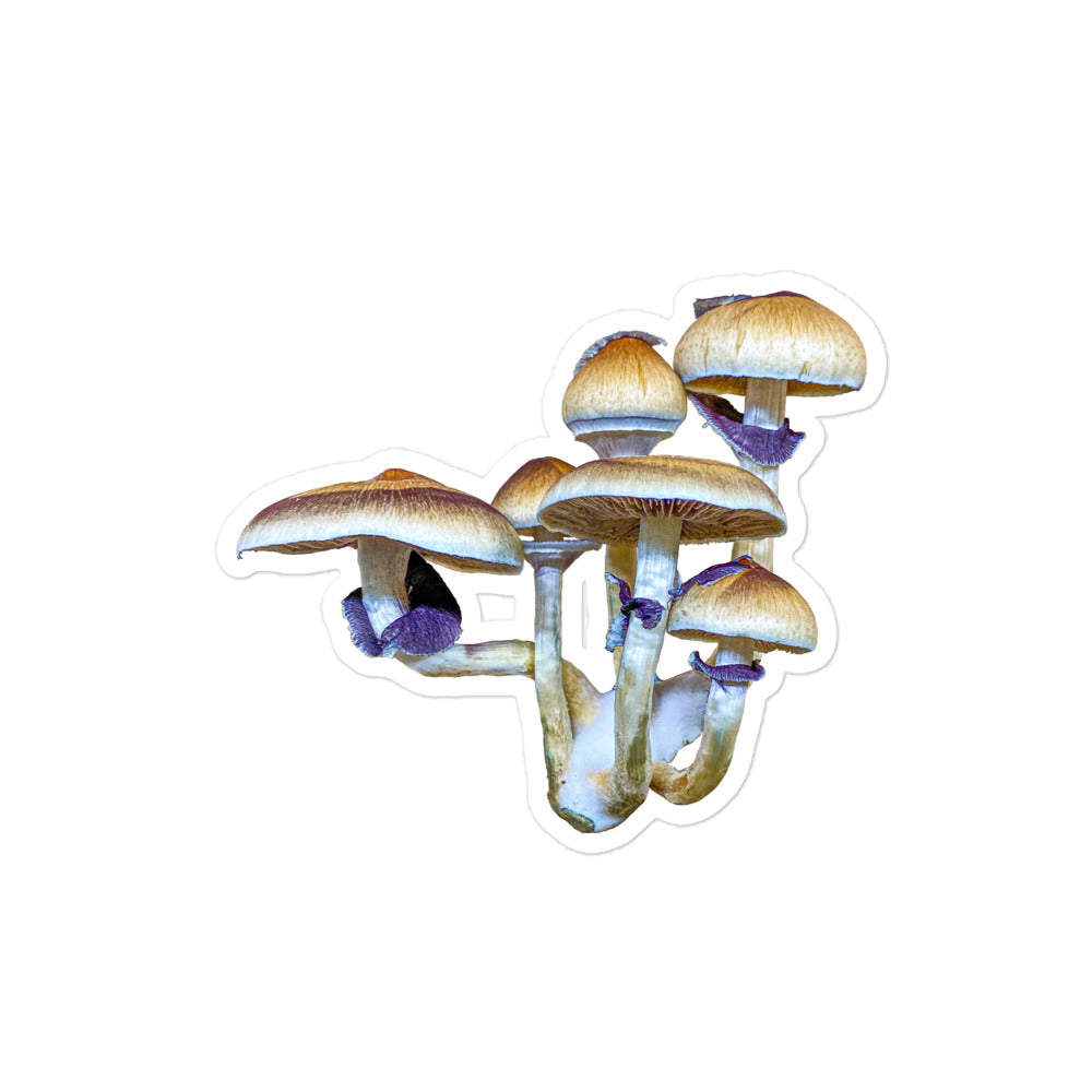 _Portrait of a Mushroom #5 - Sticker