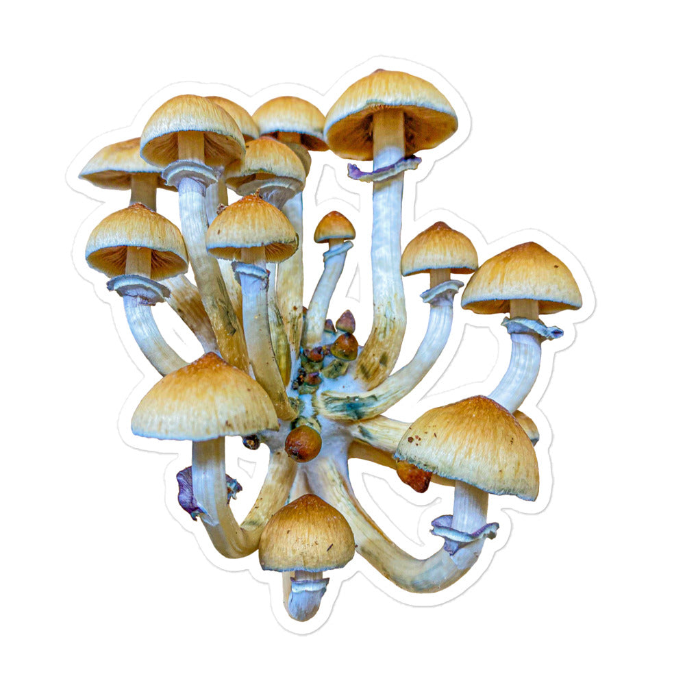 _Portrait of a Mushroom #7 - Sticker