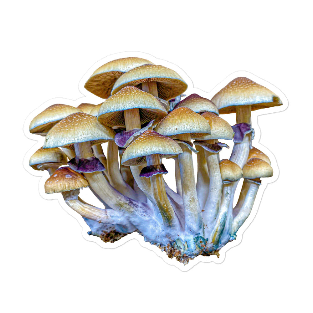 _Portrait of a Mushroom #2 - Sticker