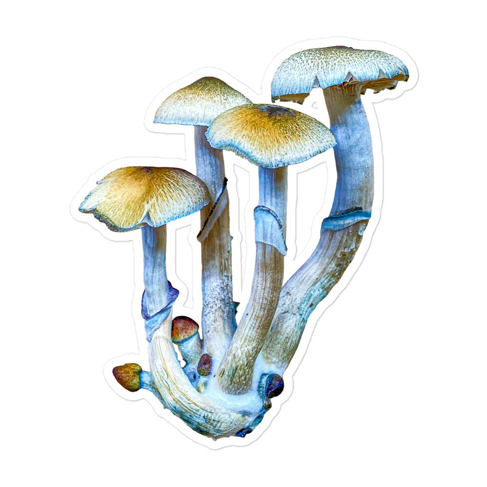 _Portrait of a Mushroom #4 - Sticker