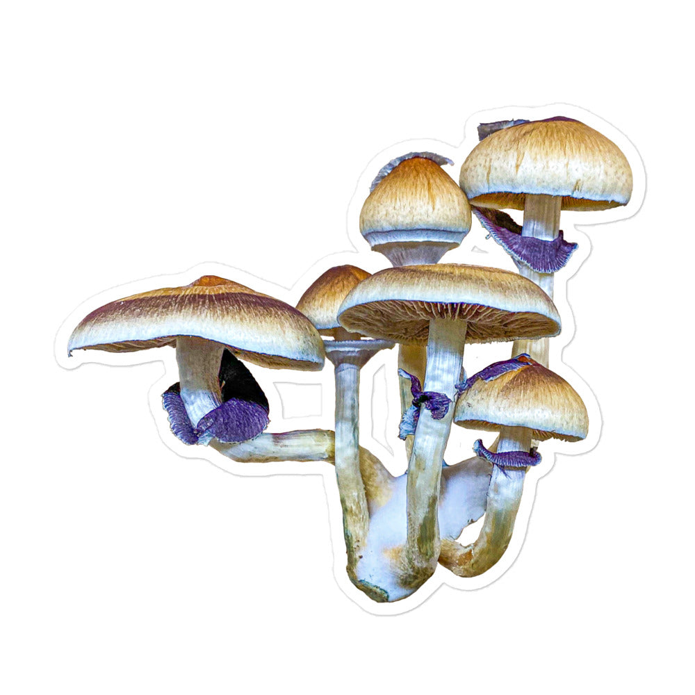 _Portrait of a Mushroom #5 - Sticker