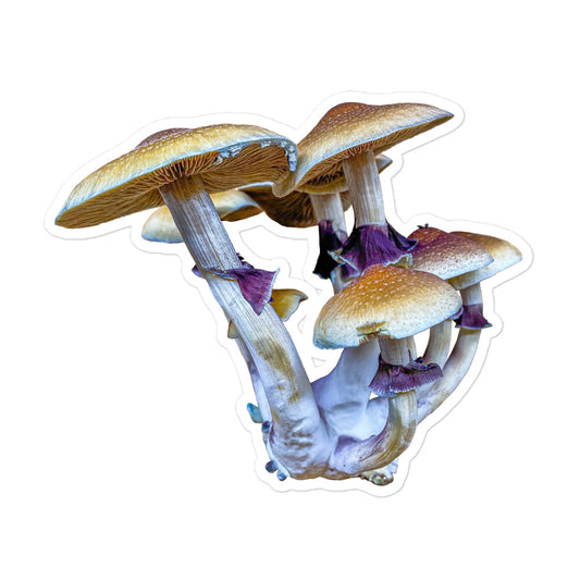 _Portrait of a Mushroom #6 - Sticker