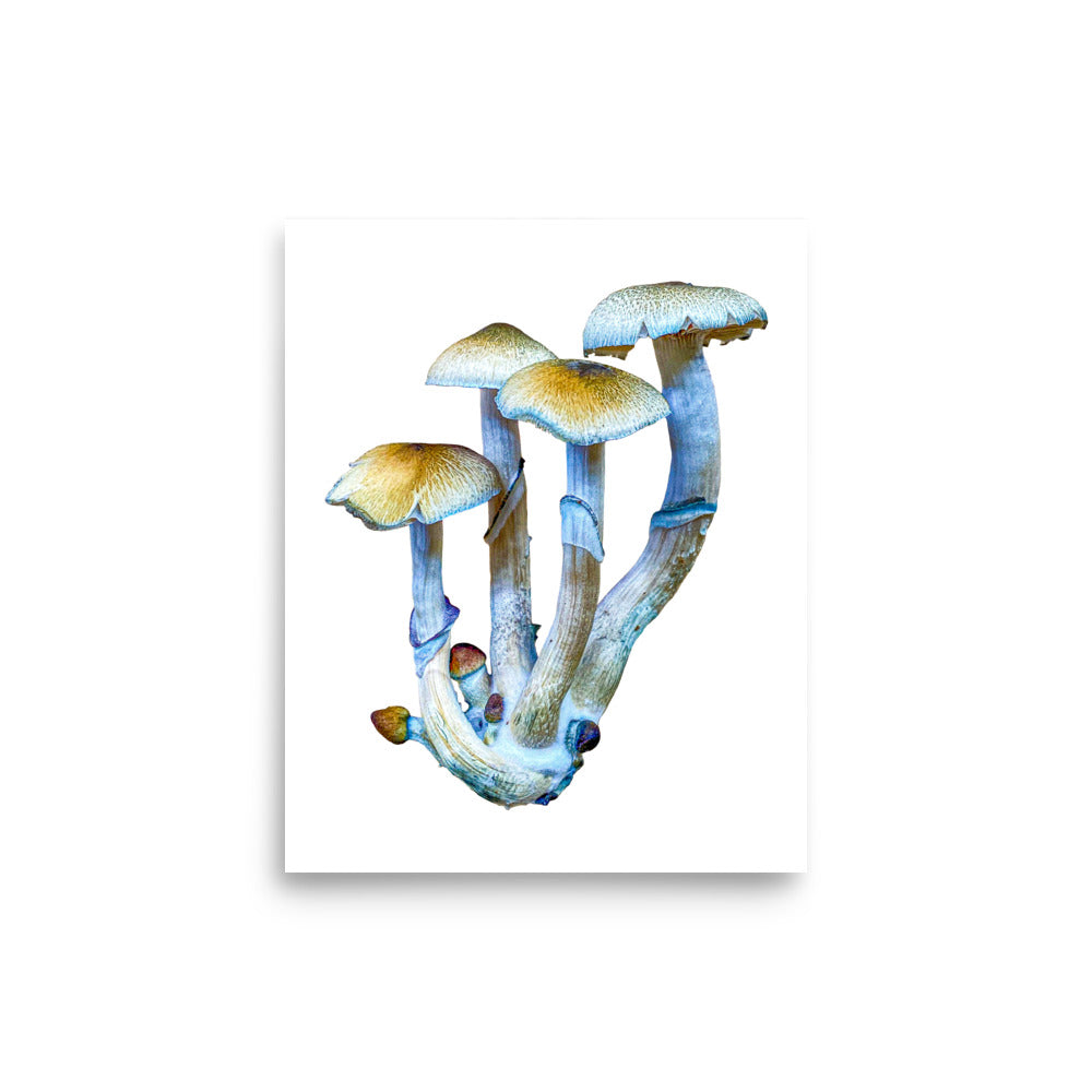 _Portrait of a Mushroom #4 - Art Print